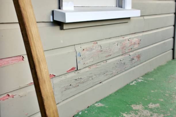 Best Siding Painting and Refinishing  in Bedford, VA