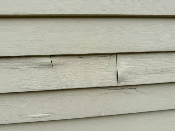 Best Historical Building Siding Restoration  in Bedford, VA